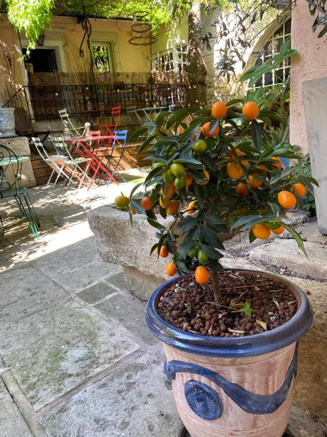Mus La Paillere Chambres D Hotes المظهر الخارجي الصورة